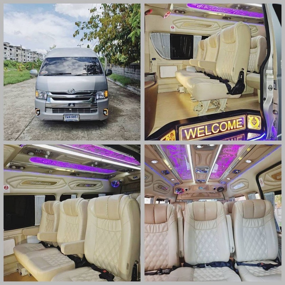 Vip van service dog and cat